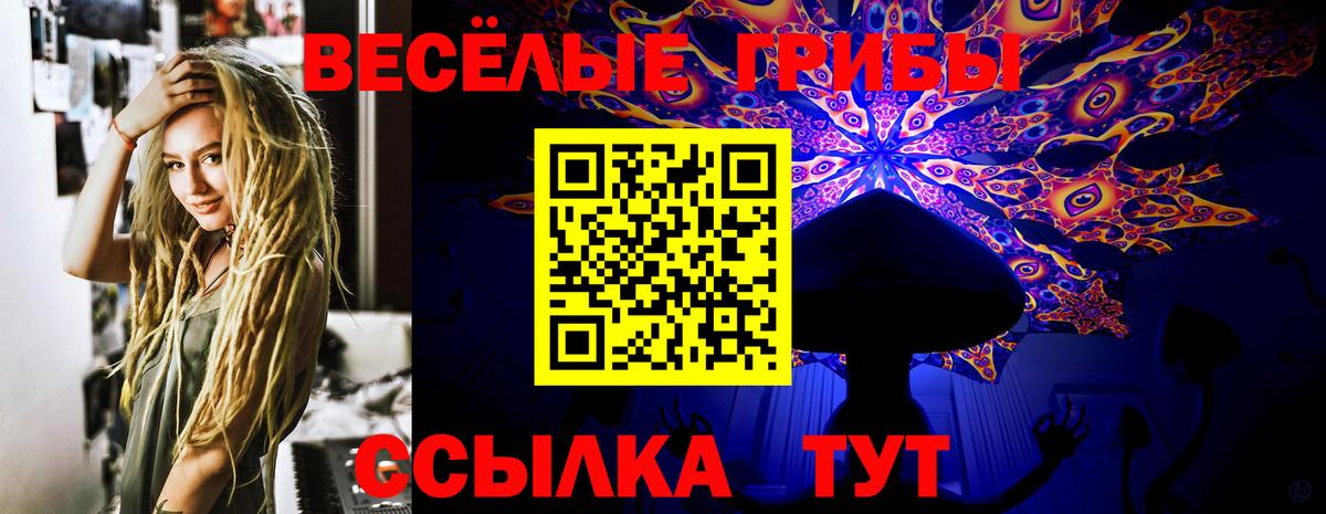 Псилоцибиновые грибы MAGIC MUSHROOMS  Галлюциногенные грибы Psilocybine cubensis  Ирбит  Вход с VPN 